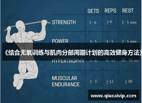 《结合无氧训练与肌肉分部周期计划的高效健身方法》
