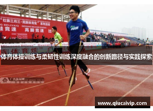 体育体操训练与柔韧性训练深度融合的创新路径与实践探索